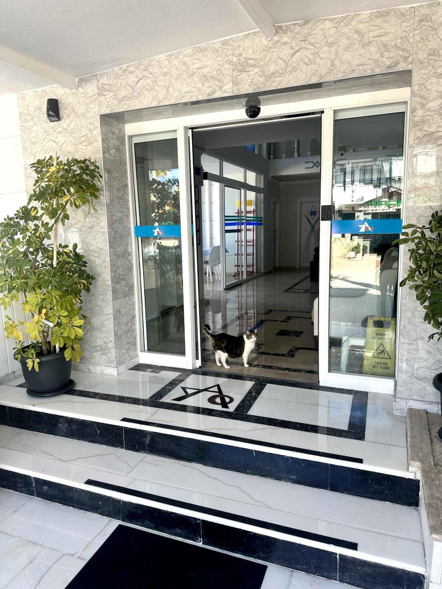 Amsterdam Otel Economic Room Kemer Exteriér fotografie